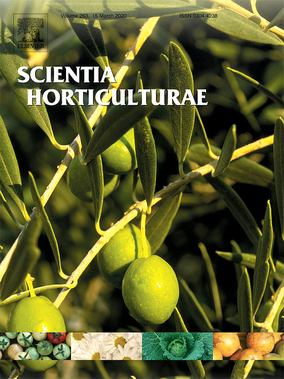journal cover image